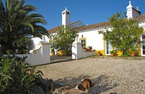 Redondo House | Monte da Japonica