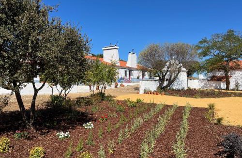 Sousel Ski Chalet | Monte do Pombal