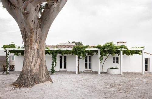Santiago Maior House | Monte dos Coureleiros