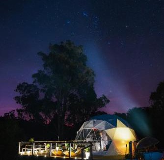 Toms Creek Other | Nature Domes