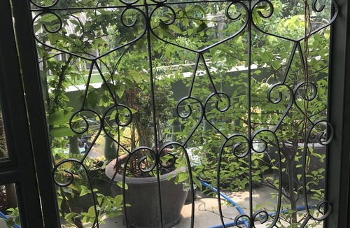 Hua Mak Hostel | Nesuto Hostel & Cafe Ramkamhaeng 52
