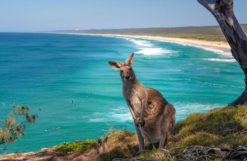 Point Lookout Resort | Pandanus Palms Ocean View Holiday Resort on Point Lookout