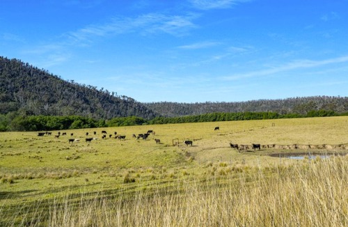 Budgong Other | Peaceful Farmstay With Prime River Frontage
