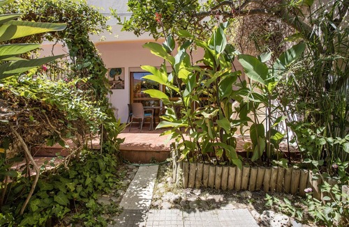 Ameijeira Apartment | Pet-Friendly Studio with Private Garden & Wi-Fi