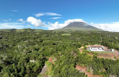Madalena Villa | PicoTerrace