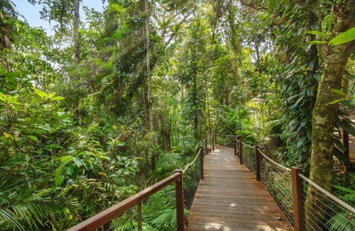 Cairns Central Business District Apartment | Piermonde Apartments Cairns