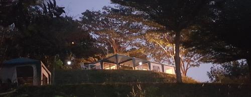 Wang Mi Other | Plantation View Camping