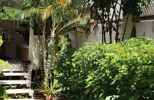 Atlantic Shores Apartment | PRIVATE GARDEN SUITE - SURF-RELAX