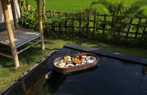 Kenderan House | Private pool with tropical garden, overlooking the stunning rice paddies