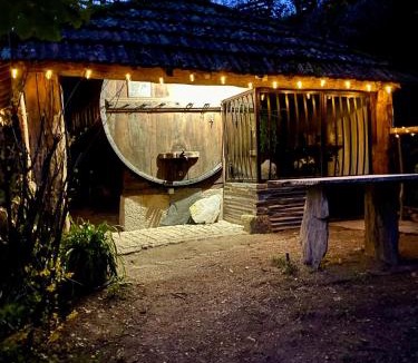 Vila Cha do Marao House | Quinta de Ribas