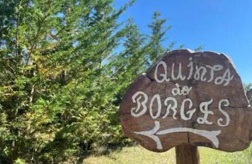 Guarda Apartment | Quinta do Borges 2