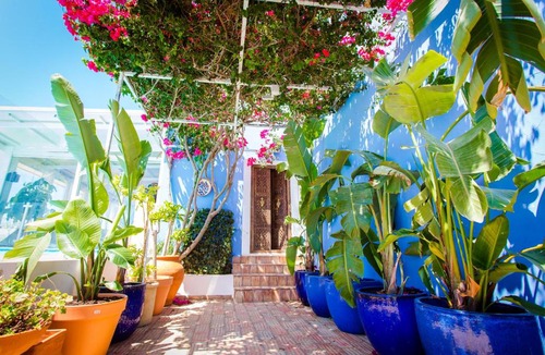 Moncarapacho e Fuseta House | Quinta Santa Inês