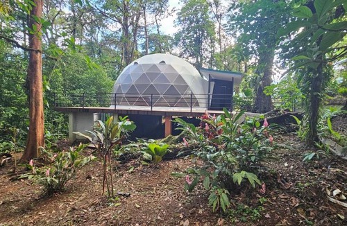 Katira Other | Rio Celeste Jungle Glamping
