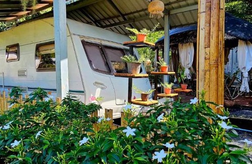 Na Mueang Other | Samui Camping Farm