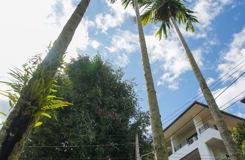 Chang Phueak Apartment | Sang Serene House