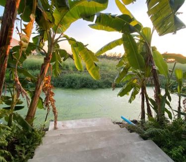 Lak Hok House | Serene House