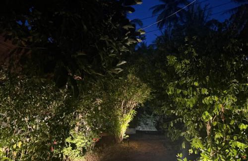 Wok Tum Apartment | Siam phangan