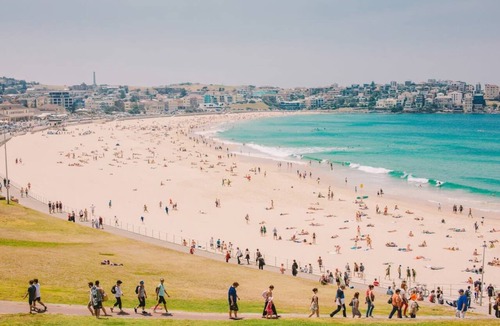Bondi Beach Apartment | Snug 1-Bed Unit Across from Bondi Beach