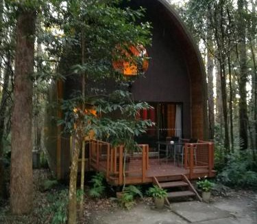 Springbrook Cabin | Springbrook Mountain Chalets