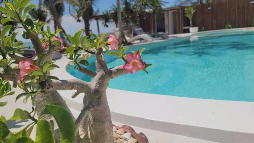 Sichon Hotel | Sunrio Beach Hotel Sichon
