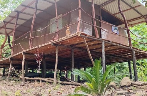 Canton Parrita House | The Forest Cabin