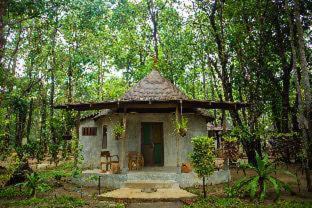 Khong Koi Beach Cabin | The Tropical Beach Resort