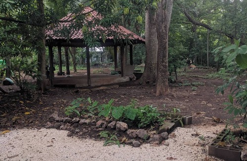 Coco Apartment | Tranquil Jungle Studio Retreat Near Del Coco Beach