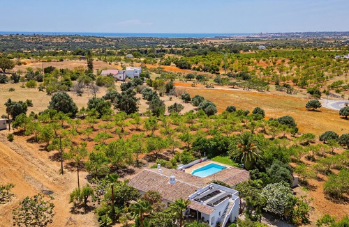 Guia Villa | Villa Alice