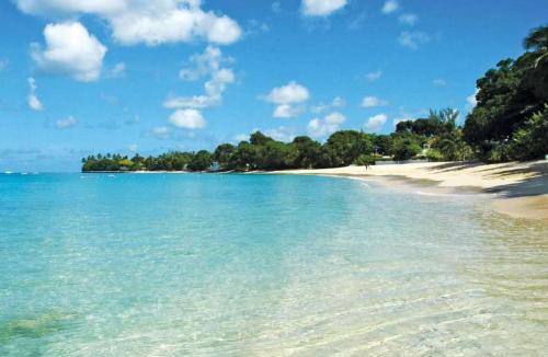Lower Carlton Apartment | Walk to Beach, NEW LUX 4BD Villa & Pool! Near Holetown