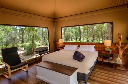 Upper Dawson Other | Wallaroo Outback Retreat - Glamping Tents Carnarvon Gorge