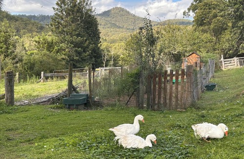 Wollombi Cottage | Wollombi Country Dairy Cottage - Hunter Valley 2hrs from Sydney