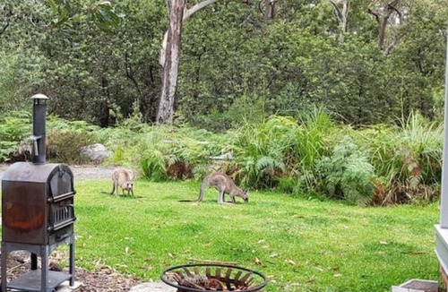 Wrights Beach House | Wrights Beach Bungalow by Book Jervis Bay - Walking Distance TO THE Water