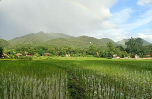 Pai Cabin | Yawning Fields
