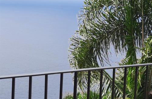 Lombo do Doutor Apartment | Zeza´s Sky