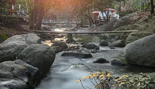 เดอะริเวอร์ แม่กำปอง The River Maekampong Chiang Mai