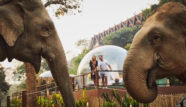 Anantara Golden Triangle Elephant Camp & Resort