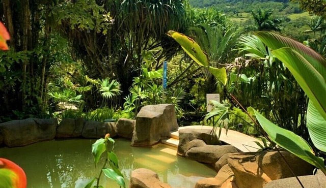 Arenal Paraíso Resort & Thermo Mineral Hot Springs