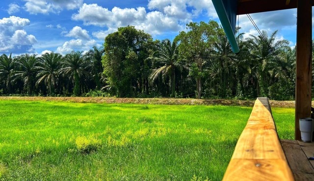 Baanmae Resort Thachana Suratthani