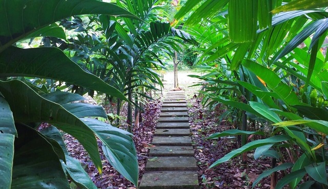 Baansuan Suksangob Farm Stay