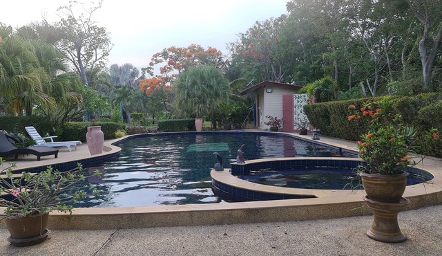 Beautiful bungalow with shared outdoor pool and 2km from the beach