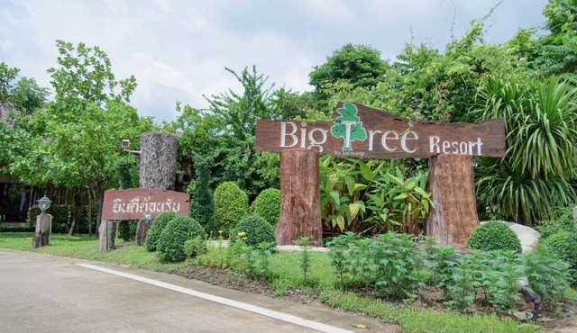 Big Tree Resort