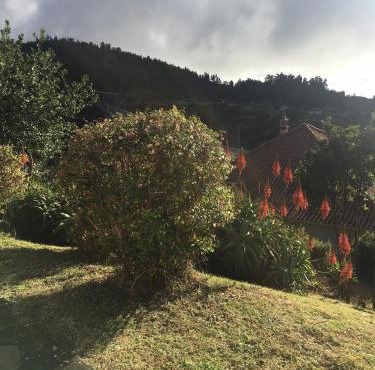 Bungalows Do Amparo