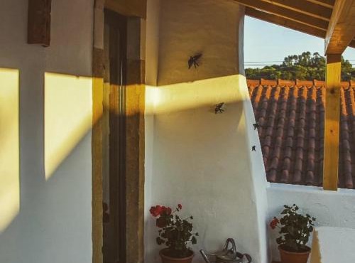 CASA ANDORINHAS