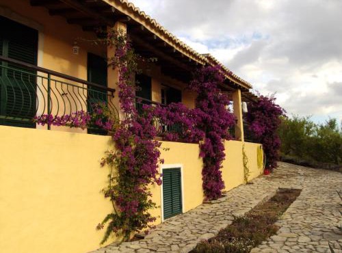 Casa do Castelão