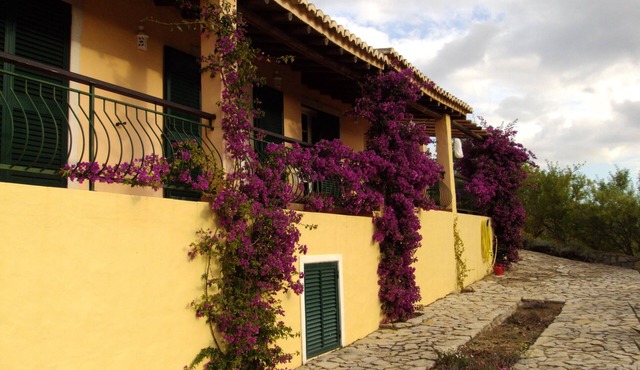 Casa do Castelao