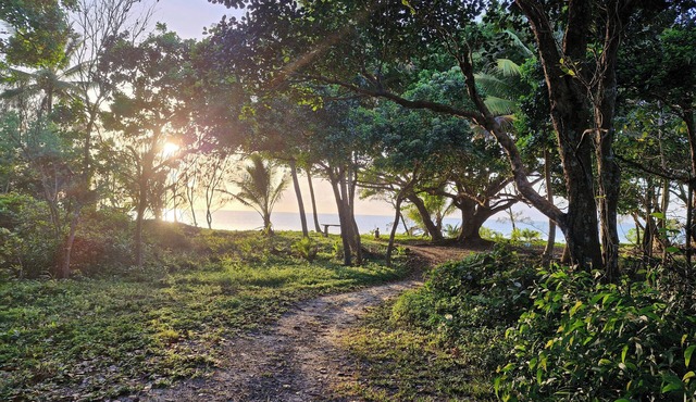 Castaway at Cowley - Beach front paradise