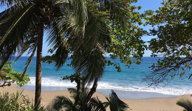 Castillo Resort nestled in the Costa Rican jungle on the Pacific ocean
