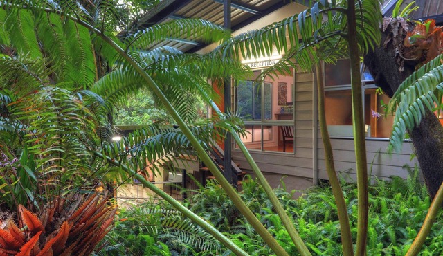 Chambers Wildlife Rainforest Lodges