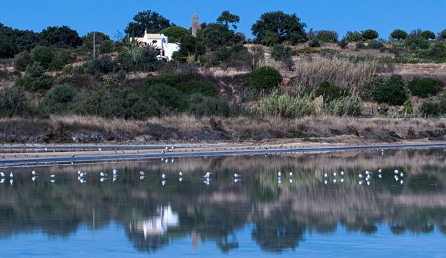 Charming villa with panoramic sea views