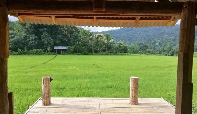 Chinopuu Hut Homestay Muangkong ชิโนปู ฮัท โฮมสเตย์ เมืองคอง เชียงดาว